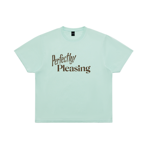 The Perfectly Pleasing Tee in Mint