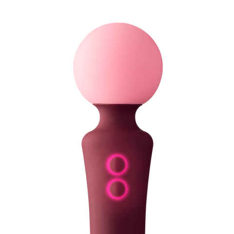The Pleasing Double-Sided Vibrator